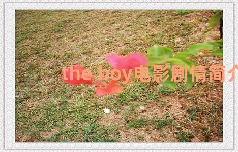 the boy电影剧情简介